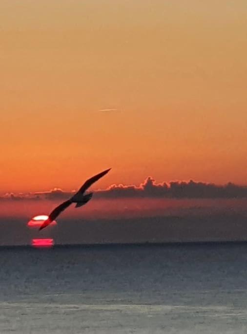 Le Chant Des Vagues Sète Extérieur photo